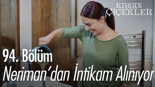 Nerimandan Intikam Alınıyor - Kırgın Çiçekler 94. Resimi