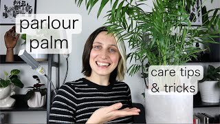 PARLOUR PALM CARE | Chameadorea Elegans Tips & Tricks