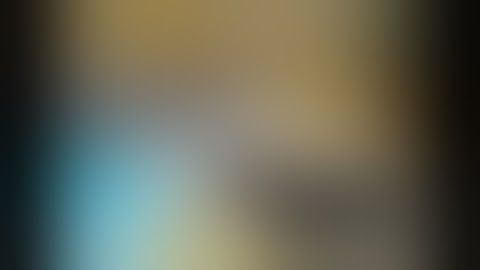 Hentai gui showcase (scripts too inside gui)