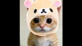 Daniel padila & Moira della torre - Mabagal (speed up - tiktok version)