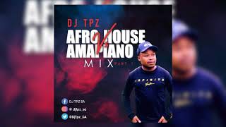 Dj TPZ - Afro House Vs Amapiano Mix