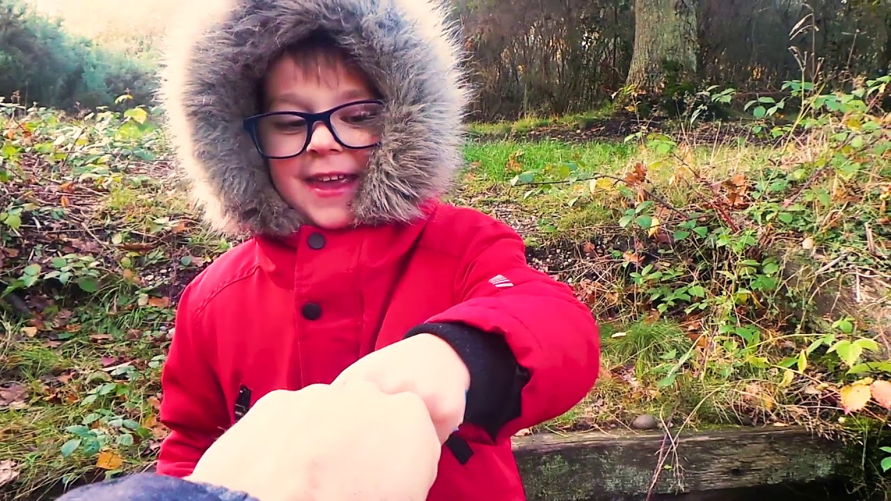 Гуляем и играем в осеннем лесу