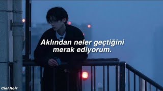 Tom Odell - Sparrow (türkçe çeviri)⭒