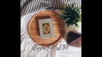 سورة النور/حالات واتس اب/قراءن🕊️🌿💛💛💛💛💛٠