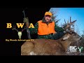 Big Woods Adventures T.V. | Episode 1: Hal's Hunt