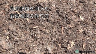 その他動画