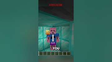 Shulkers Can Make A Secret Base