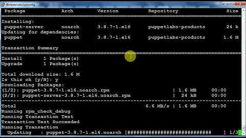 Puppet using Docker Container
