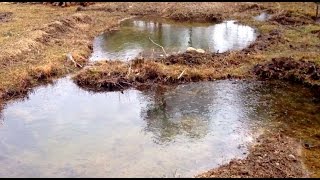 Hand Digging Ponds - In-Depth Discussion