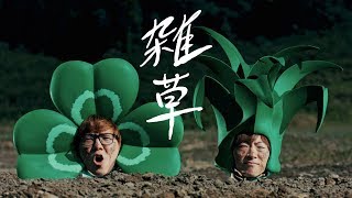 雑草の視聴動画