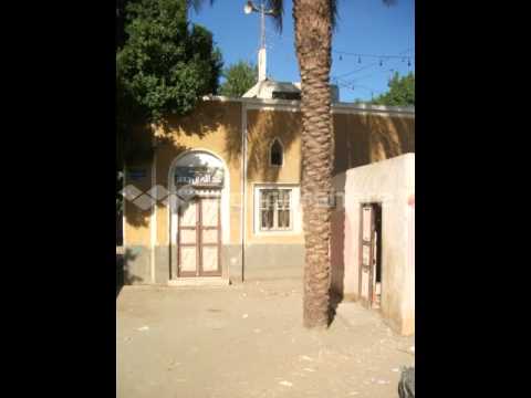 الكحل في عينه يدوب دوب أغاني صعيدية جميلة