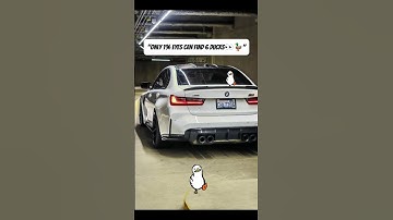 ​"Only 1% Can Find 6 Ducks" on a BMW M3! 🦆 Try the Viral Puzzle Challenge#puzzle #bmw #mindchallenge