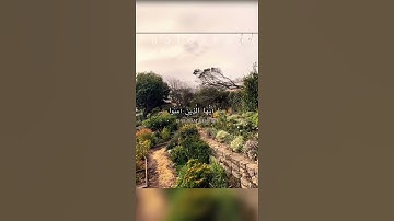 سورة الأحزاب جمعة مبارك صلواعلى النبي#اللهم_صل_وسلم_على_نبينا_محمد #سورة_الأحزاب #جمعة_مباركة #قرآن