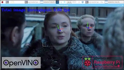 Raspberry pi openVINO Head Position Estimation