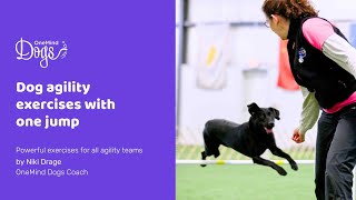 FREE webinar: Dog agility exercises with one jump