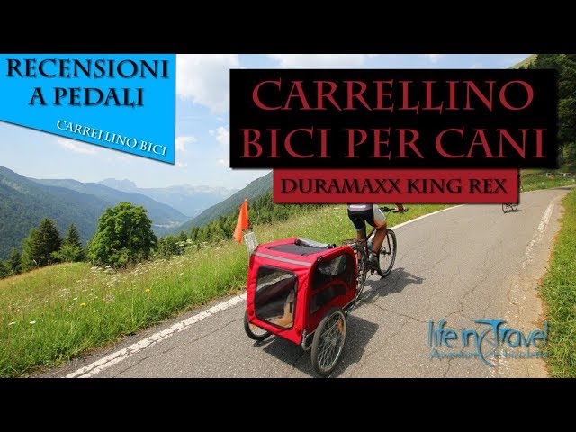 duramaxx dog trailer