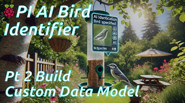 AI-driven BIRD IDENTIFICATION on RASPBERRY PI (Part 2) - Using CUSTOM DATA MODEL
