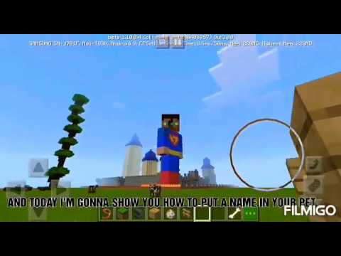 HOW TO PUT A NAME ON YOUR PET IN MINECRAFT - YouTube