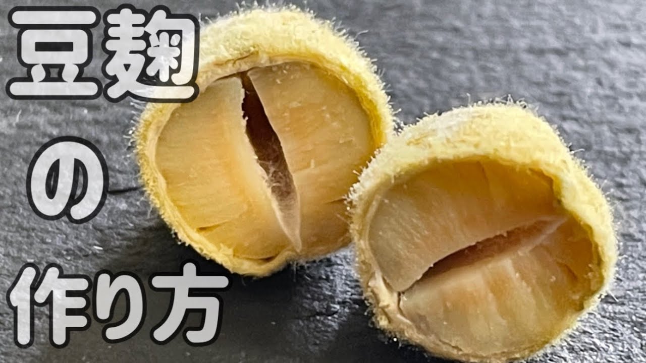【豆麹の作り方】家にある道具で簡単にできる！