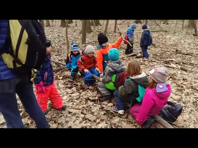 Locul din Sibiu în care copiii sunt fericiți și fac ce vor – ”Grădinița în pădure” ține ”kinderii” în natură 4 video