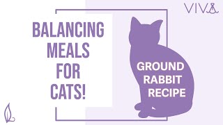 Balancing Viva Raw (Rabbit) For Cats