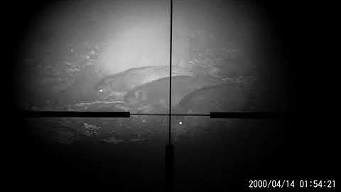 Pard NV007 (BRD-Edition2019)