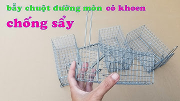 Bán lồng bẫy chuột đường mòn, chuyên bẫy chuột đồng, không cần mồi, có chống sẩy
