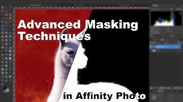 Affinity Photo Tutorial - Advanced Masking Techniques - Fur