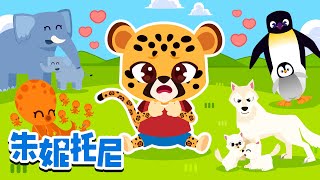 dong wu de ma ma he ba ba bang xiao dong wu zhao ma ma dong