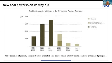 "Net Zero by 2050, presentation of IEA’s flagship report" Talya Vatman