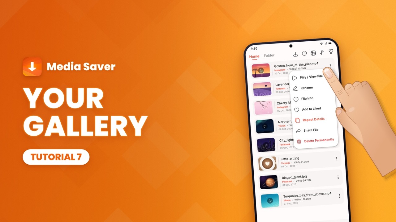 Media Saver tutorial 7: Your gallery