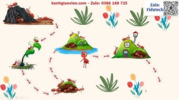 Trò chơi khởi động Ngữ văn 7 kết nối tri thức bài 7: Thực hành tiếng Việt (2) | AI Ngữ văn 7 KNTT