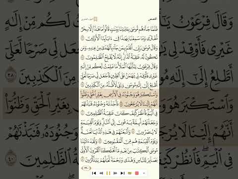 سورة القصص للقارئ خالد الجليل 1080