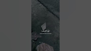 فصبر جميل | القارئ طارق محمد