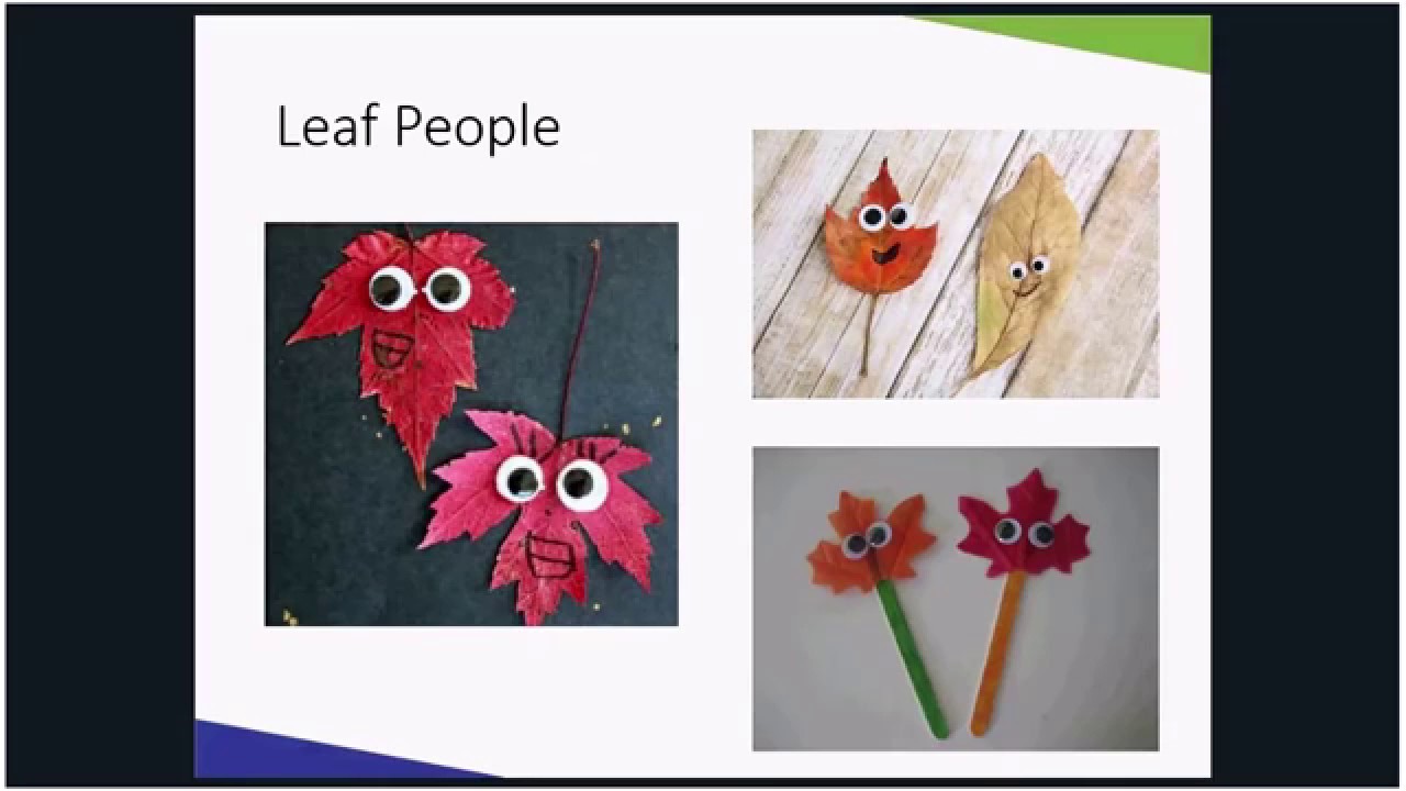 Youth Gardening - 2019 Four Seasons Gardening Webinar - YouTube