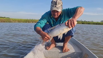 Đô Mánh Rồi Dượng Út Ơi 1 Con Cá Khủng Là Đủ Rồi.Góc Làng Quê#773