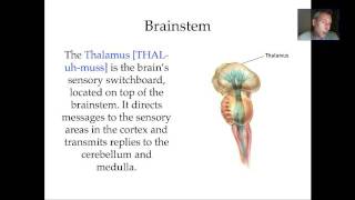 The Brain-Part 1.mov