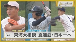値下げ　東海大相模高校　101回　甲子園出場記念名刺入れ 東海大相模「予定通り」の奇策 先発は背番号18 選抜高校野球