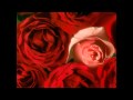 Florin Bogardo - Sa nu uitam nicicand sa iubim trandafirii.wmv