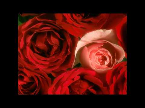 Florin Bogardo - Sa nu uitam nicicand sa iubim trandafirii.wmv