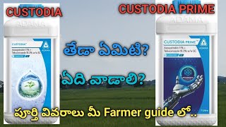 Custodia And Custodia Prime Difference