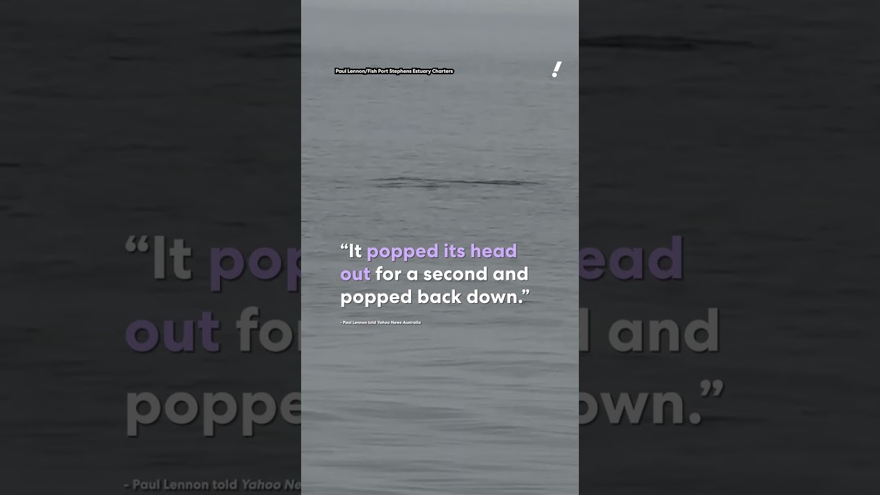 Редкое наблюдение рыбака у берегов Австралии вызвало ажиотаж | 