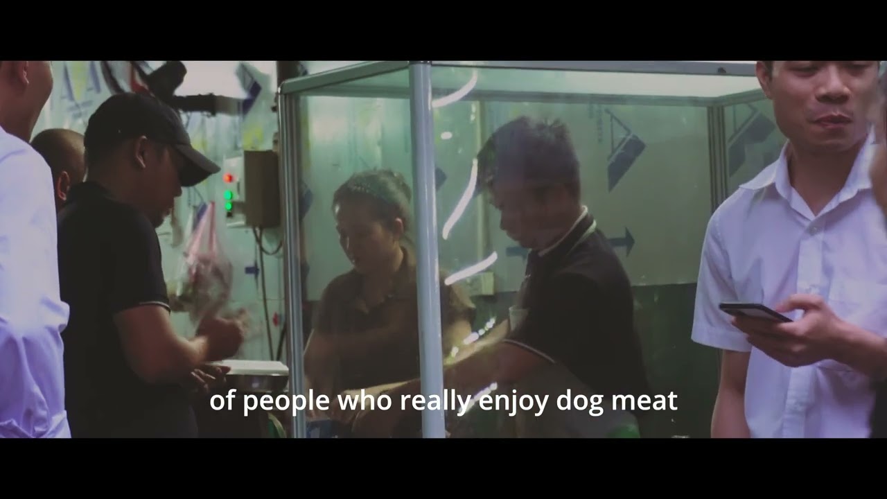 Official Dog Meat Trailer 1
