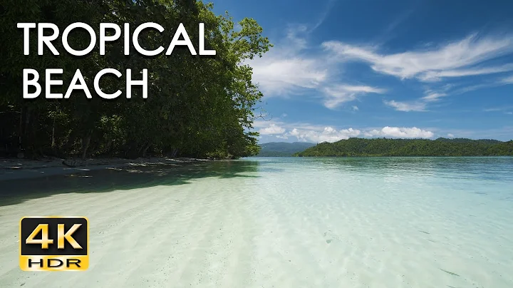 4K HDR Tropical Beach - Gentle Ocean Wave Sounds - Peaceful Wild Island - Relaxing Nature Video - DayDayNews