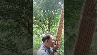 ລາຍແຄນຂັບຊຳເໜືອຄີຜູ້ຊາຍ, ลายแคนขับชำเหนือคีผู้ชาย