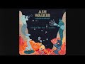 Ash Walker - Under The Sun (feat. Laville)