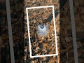 اصبحنا على فطرة الاسلام تعاهد المسلم صبح مساء Ytshorts عبدالناصرخان اصبحنا على فطرة الاسلام تعاهد المسلم صبح مساء Ytshorts عبدالناصرخان