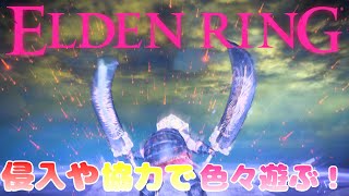 【steam版エルデンリング】筋魔テディベアは協力＆侵入で遊びたい！🧸⚔【Vtuber】