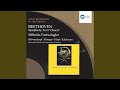 Miniature de la vidéo de la chanson Symphony No. 9 In D Minor, Op. 125 "Choral": Ii. Molto Vivace - Presto