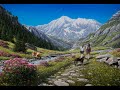 Artist Alik Oleynik  &quot;Alpine walk&quot; Writing an oil painting.